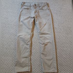 Patagonia Work Wear Panta